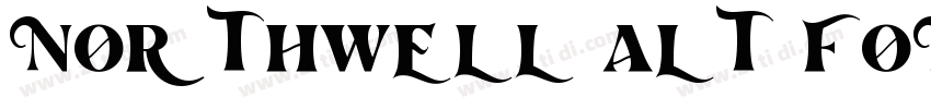 Northwell Alt Font字体转换 Northwell Alt Font字体转换